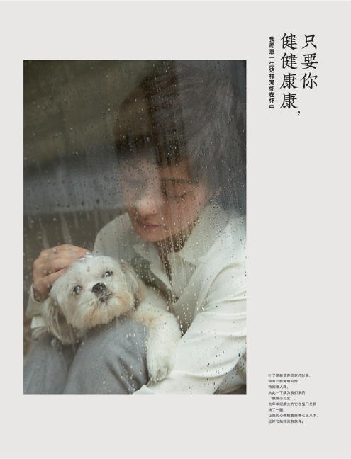 萌宠乐园贴画图案素材图片大全