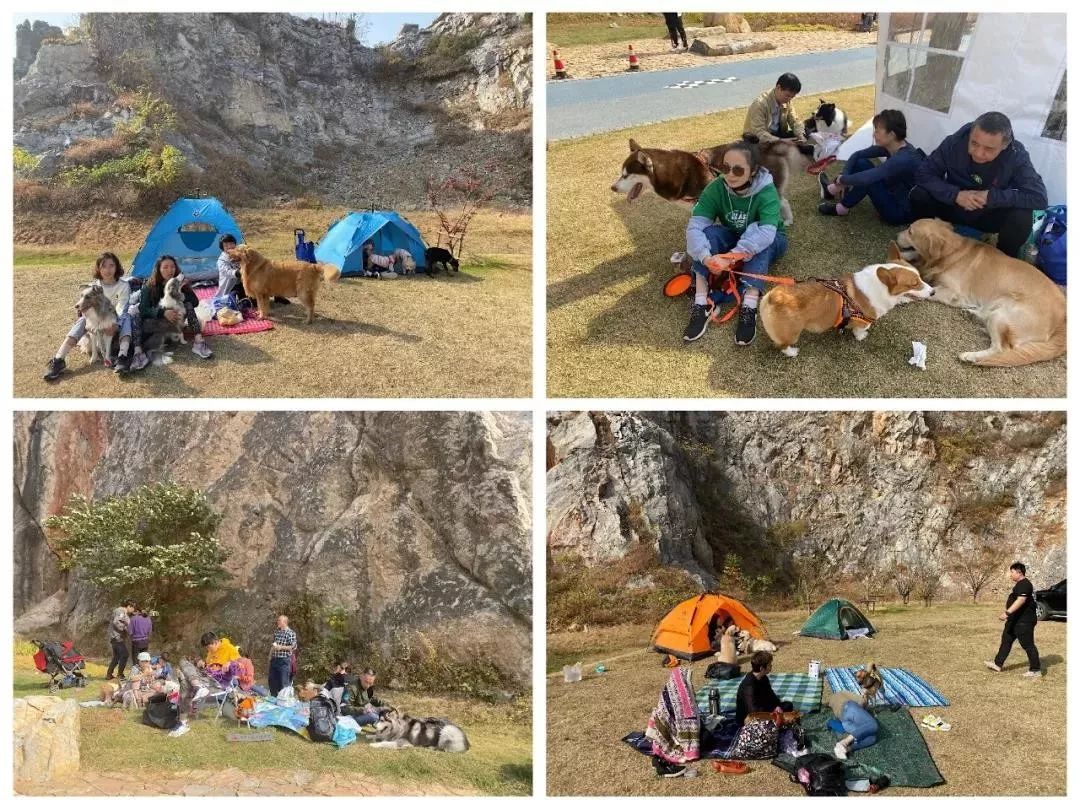 微信分付提现二维码平台 揭秘微信分付提现二维码平台，轻松提现，安全便捷！