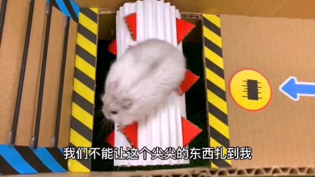 西安萌宠乐园设计风格特点与案例分析