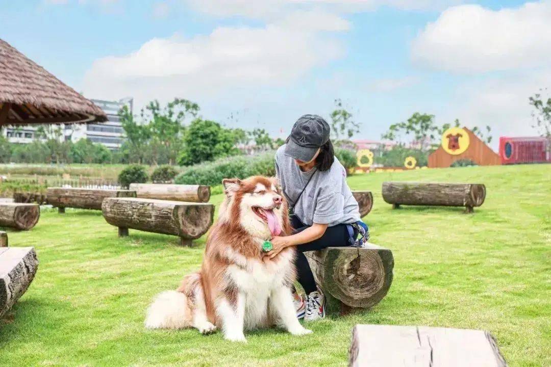 忘記密碼？教你如何找回珍贵的聊天记录