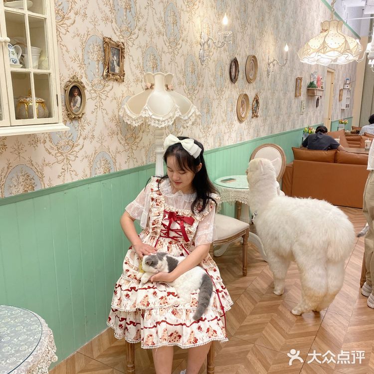 遵义萌宠乐园加盟费概览