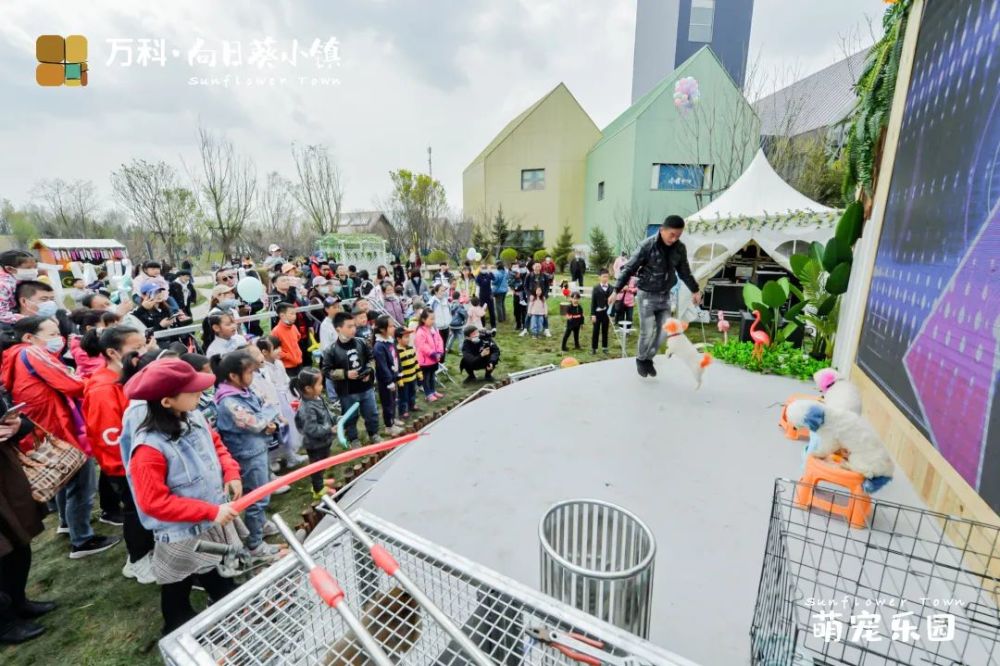 微信分付提现什么时候会发现 微信分付提现，揭秘你的钱款何时到账！