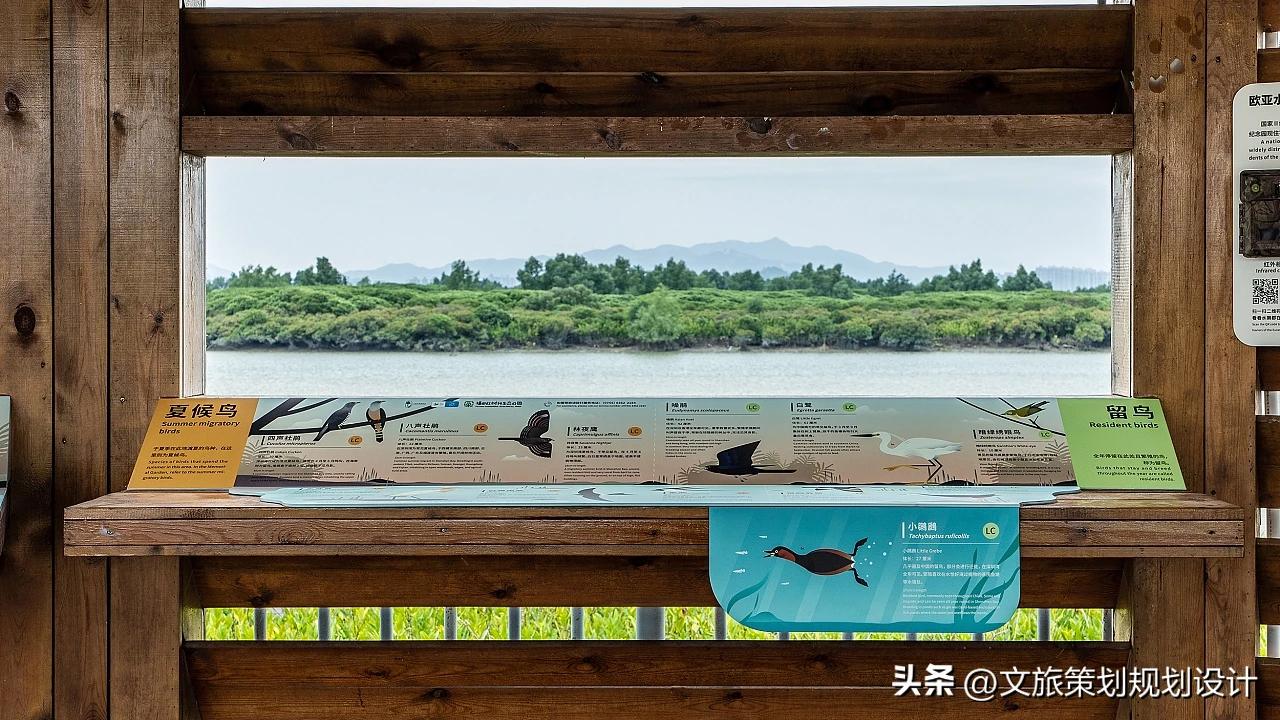 抖音月付余额怎么提现 抖音月付余额轻松提现攻略，让你钱袋子鼓起来！