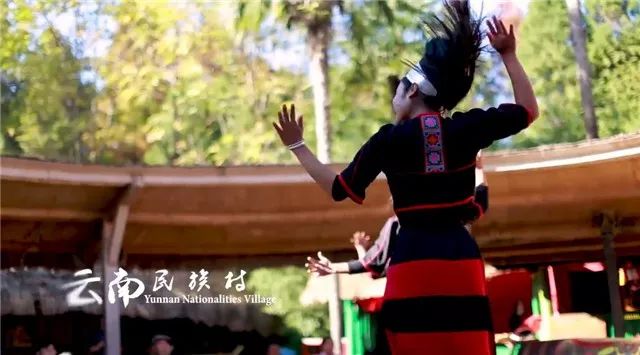 峨嵋萌宠乐园的运营现状与游客反馈
