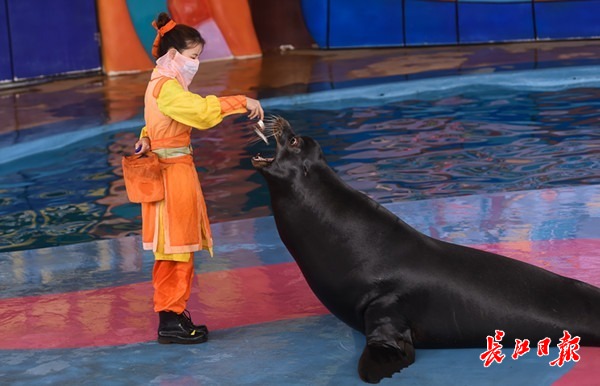 南岭萌宠乐园购票流程视频导引