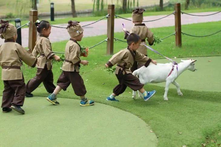 探索虎丘萌宠乐园彩虹滑道的完美之旅
