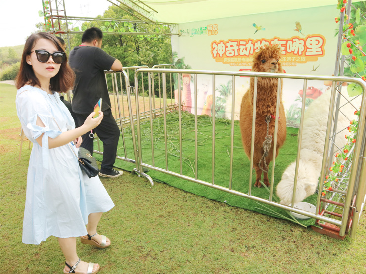 南昌白条怎么套出来？实用攻略与案例解析