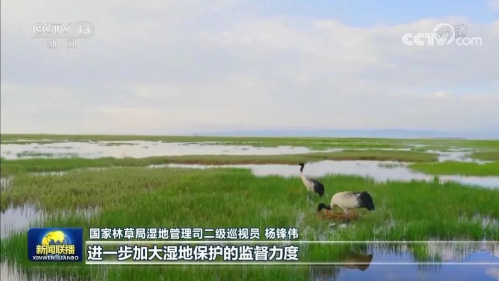 揭秘宾馆开房记录查询，隐私与安全之间的微妙平衡