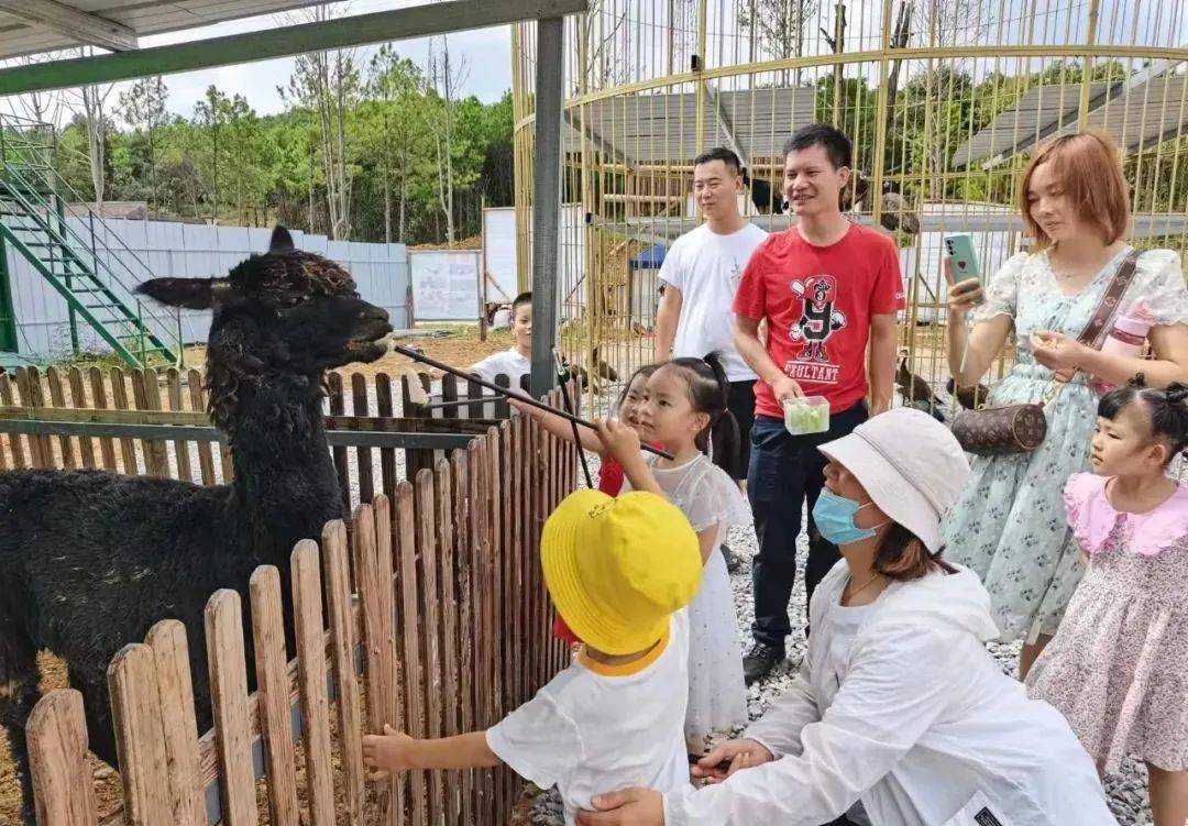张家港萌宠乐园图片与宠物文化案例分析