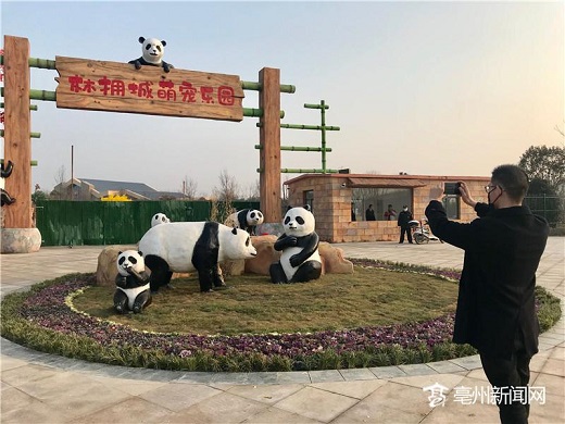 自己怎么使用白条提现 轻松搞懂白条提现，自己怎么操作，案例解析全攻略