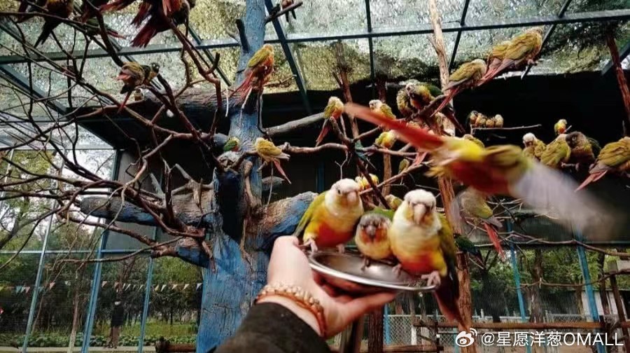 微信分付提现可以取消吗 微信分付提现取消攻略，你的钱还能回血吗？
