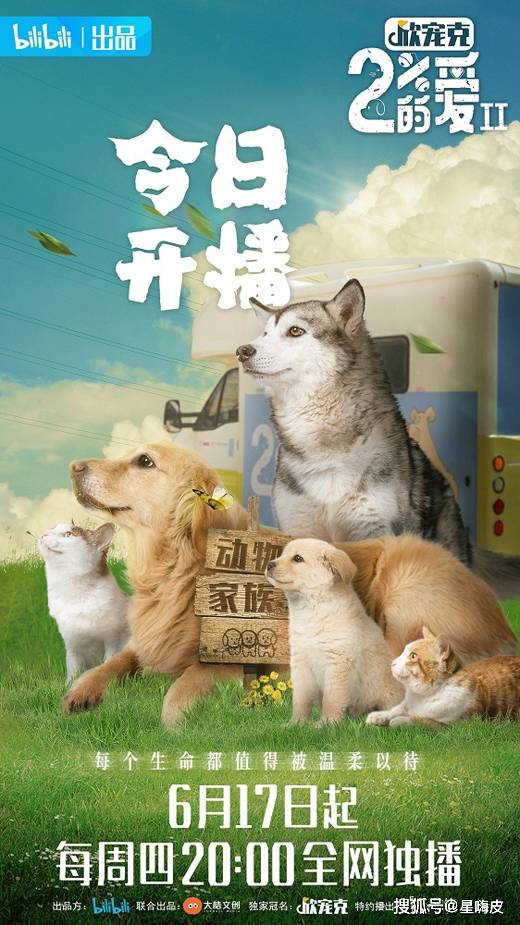 安徽萌宠乐园设计方案公示