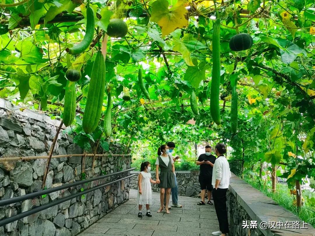 西安大都荟萌宠乐园门票体验