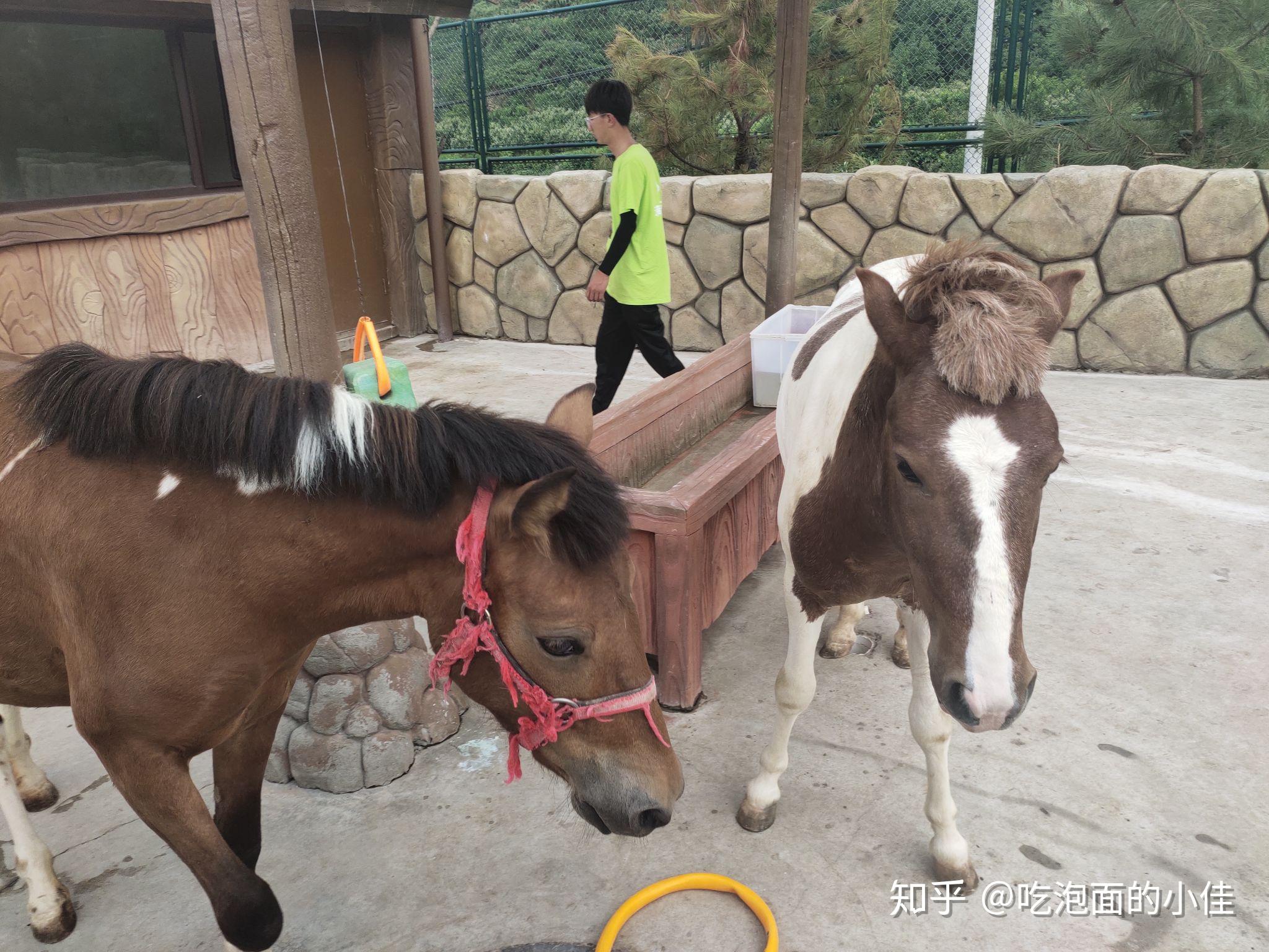 掌握隐私保护，如何安全查询酒店住宿记录