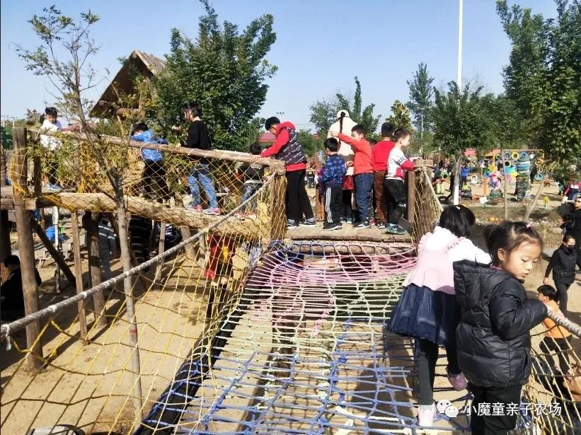新乡市宝龙萌宠乐园，动物的乐园，孩子的天堂