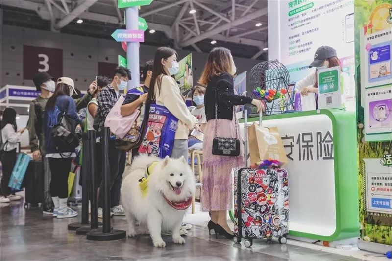 惠州马安萌宠乐园门票体验