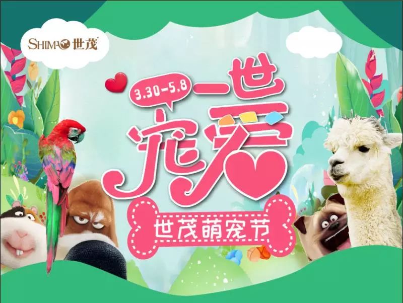 微信分付买车票的省钱秘籍