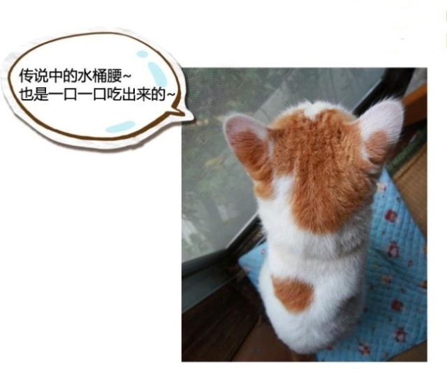 自己白条提现银行卡 轻松搞钱攻略，自己白条提现到银行卡，操作指南+案例分享