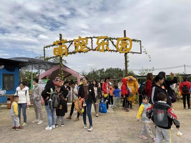 抖音月付在哪充值了可以提现 抖音月付充值了却找不到？揭秘提现攻略，让你轻松回血！
