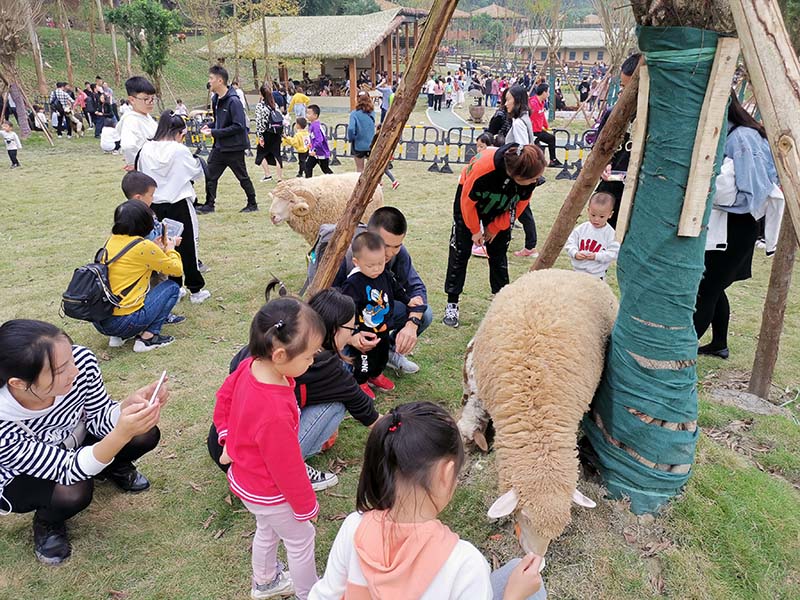 抖音月付怎么翻钱提现到银行卡 抖音月付轻松翻钱，教你如何提现到银行卡