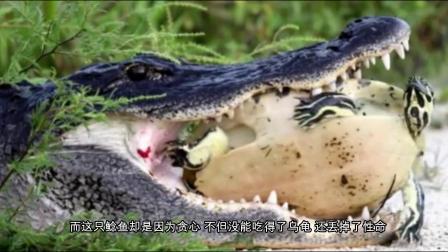 微信分付提现了咋退款呢 微信分付提现退款攻略，遇到问题不用慌，这样操作轻松解决！