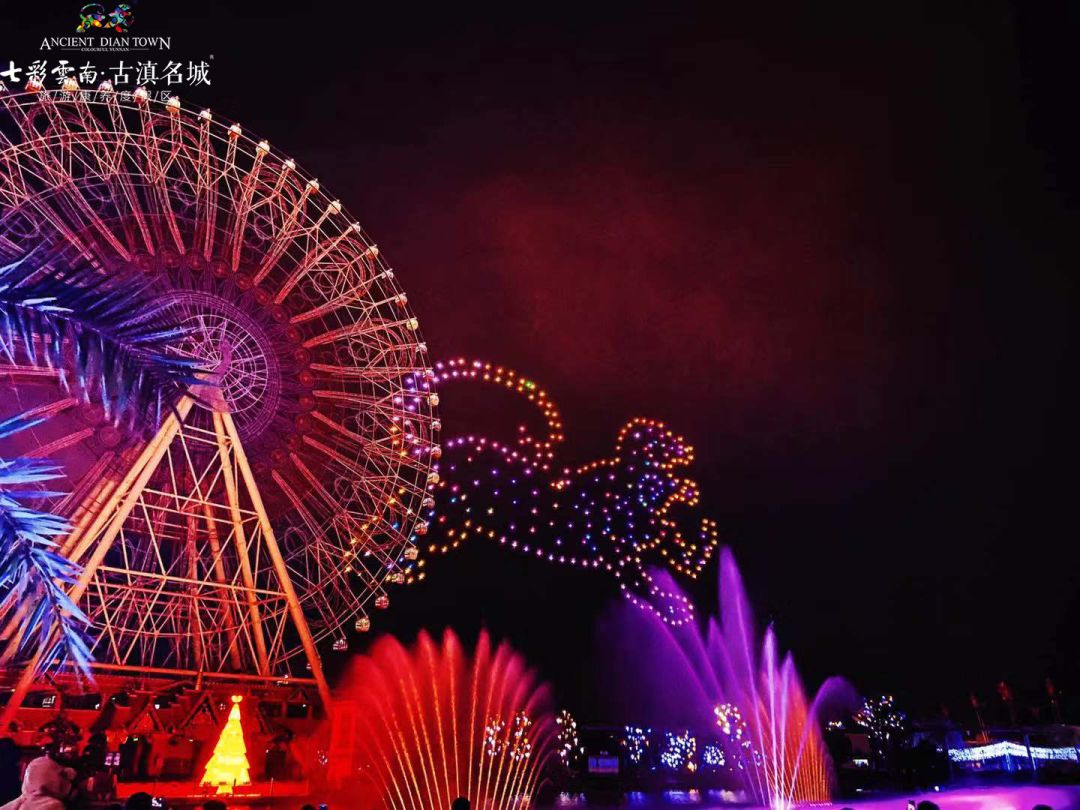 开萌宠乐园，必备手续与流程全解析