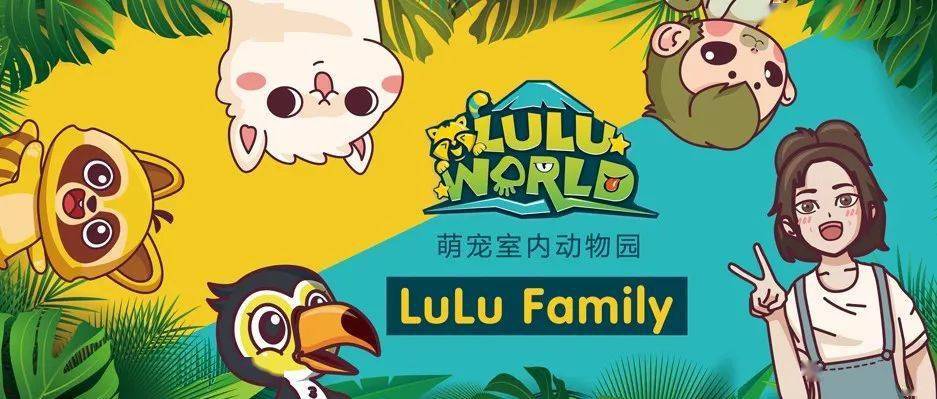 如何查老赖的酒店记录—实用指南与案例分析