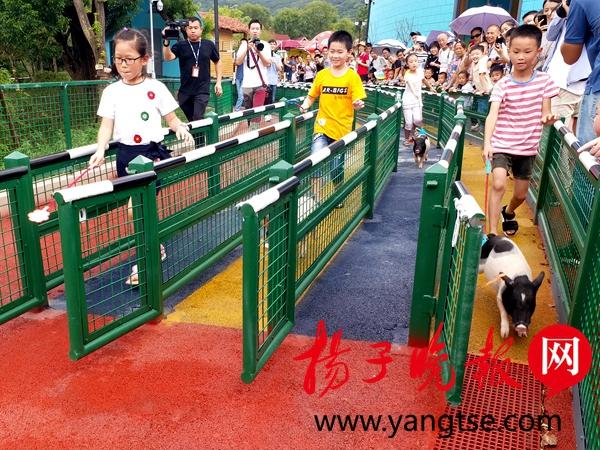 得物佳物分期额度提现商家全解析，哪里可以看物物佳物分期额度？