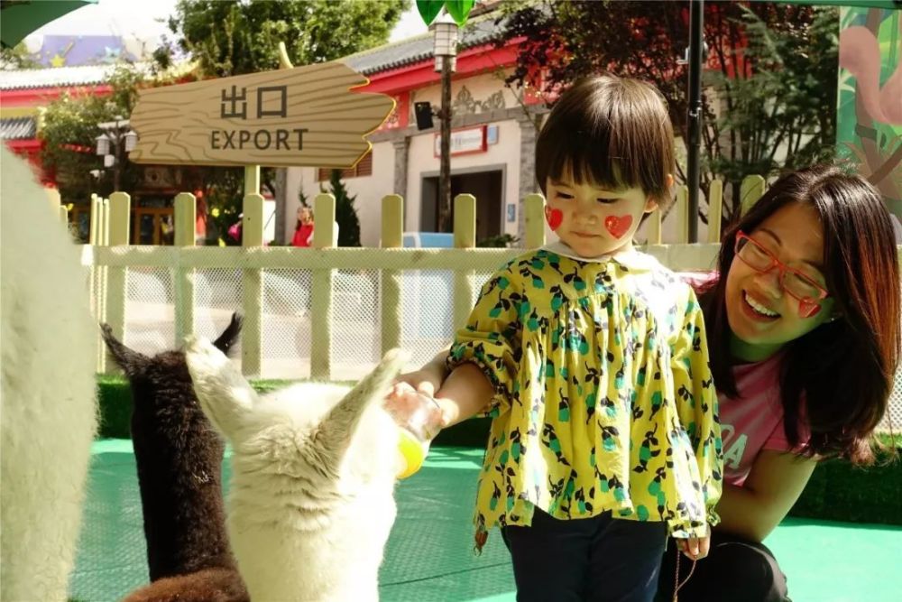 昆明萌宠科普乐园团购价格指南