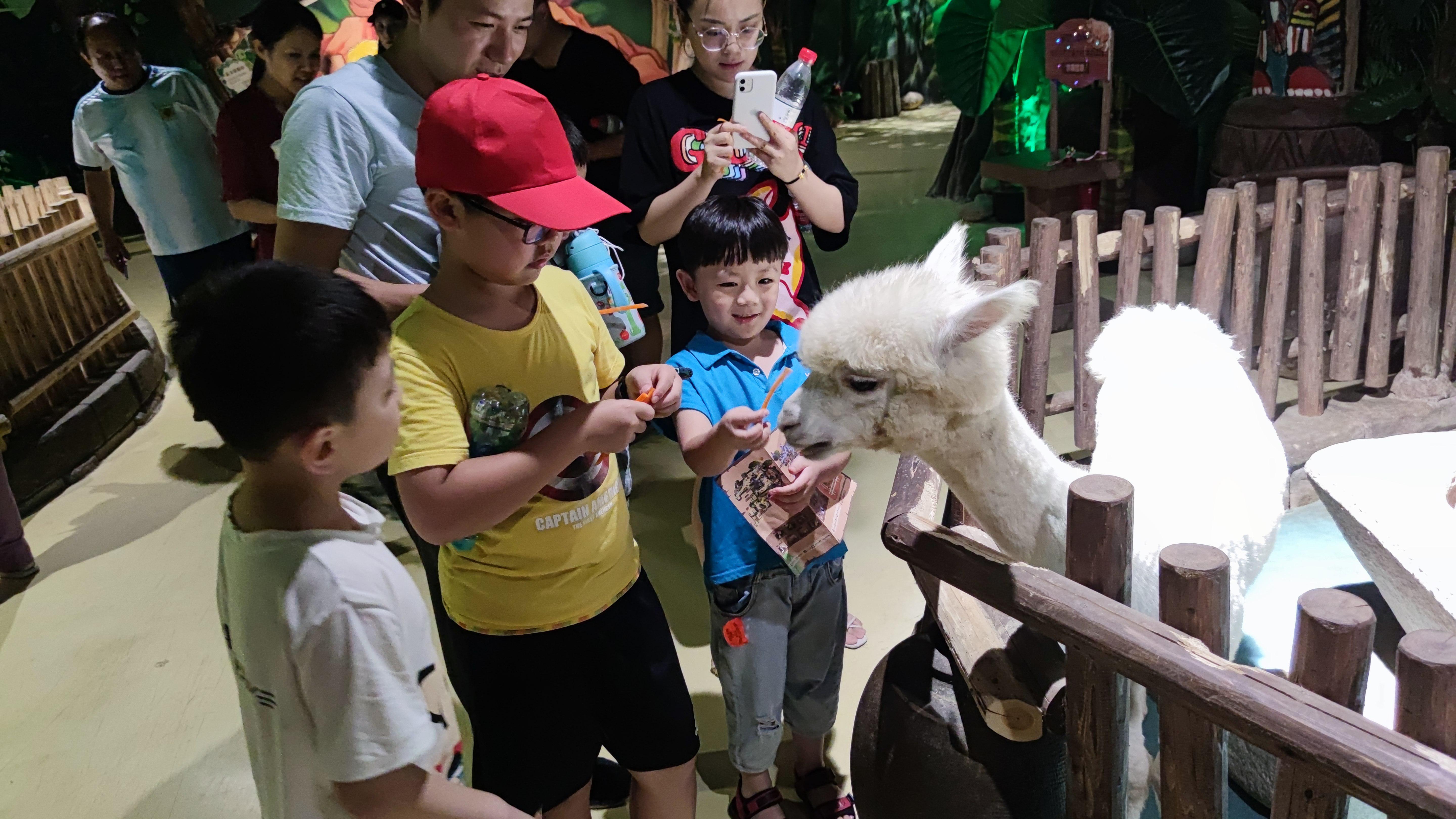 自己套出来抖音月付怎么做账 抖音月付怎么做账？手把手教你轻松搞定！