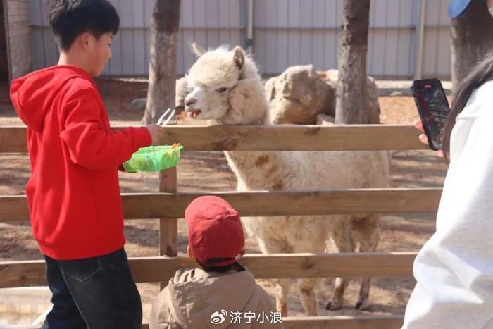 查开房记录新婚 揭秘查开房记录新婚，隐私保护与情感纠葛的较量