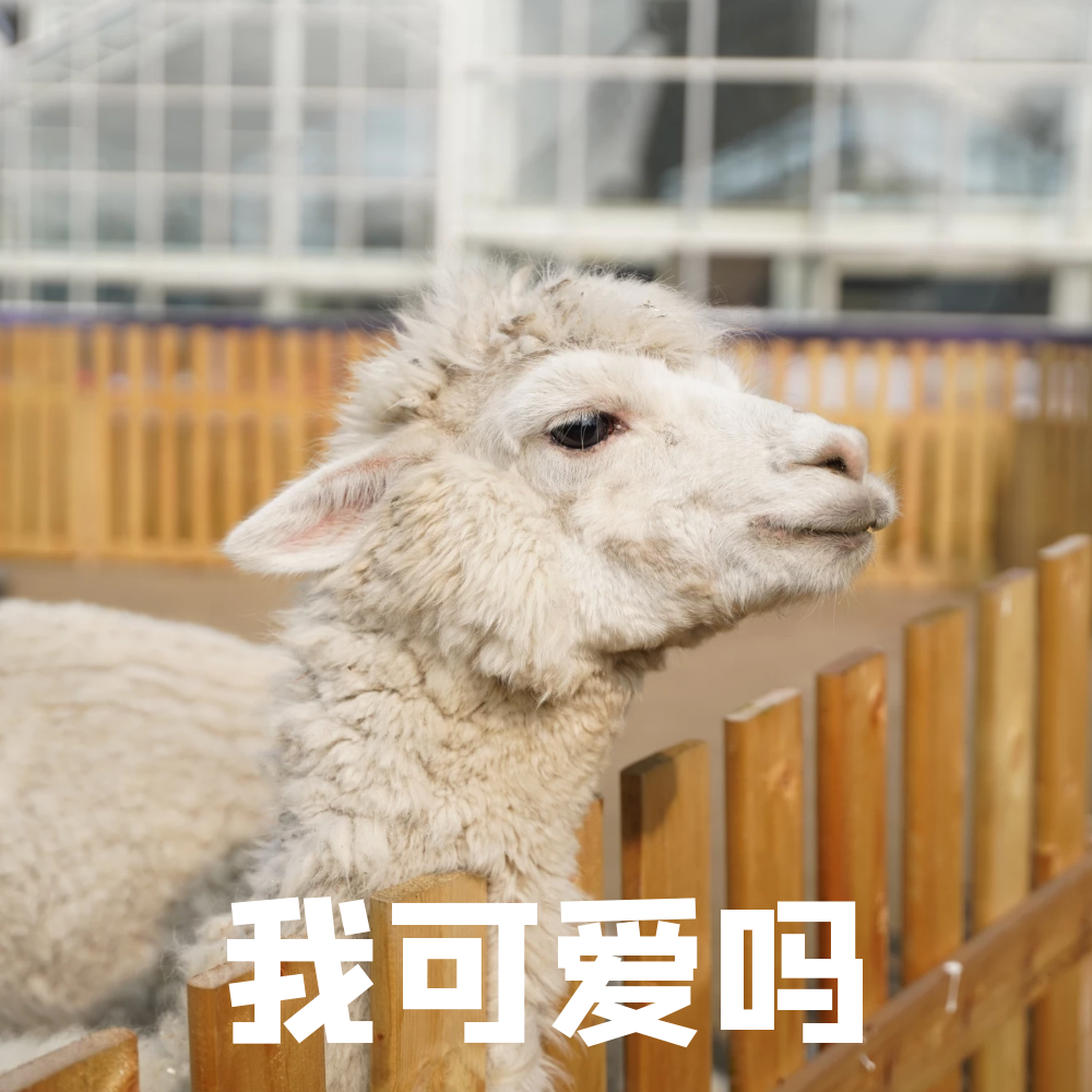 京东白条收款后提现 京东白条收款后轻松提现，告别繁琐，享受便捷！