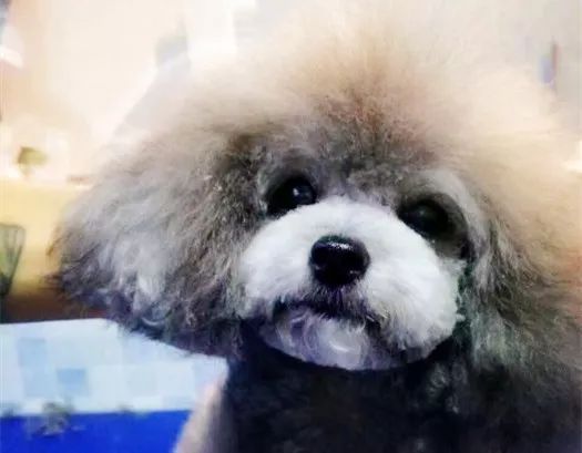 白条POS机提现可以分期吗？一文搞懂！