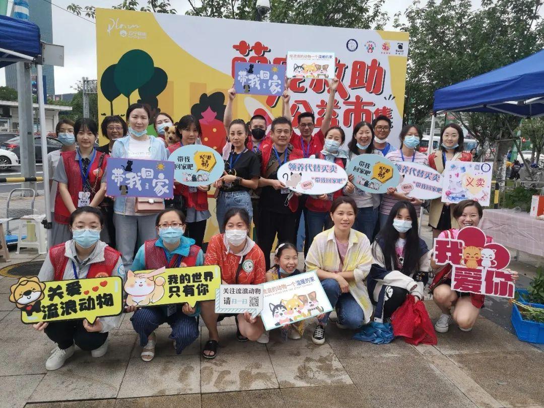 微信分付提现明细怎么查询 微信分付提现明细大揭秘，轻松查询，一目了然！