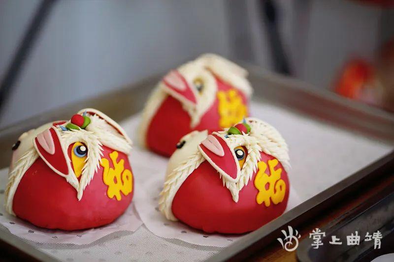 衡阳金甲萌宠乐园直播盛典—宠物爱好者的欢乐海洋