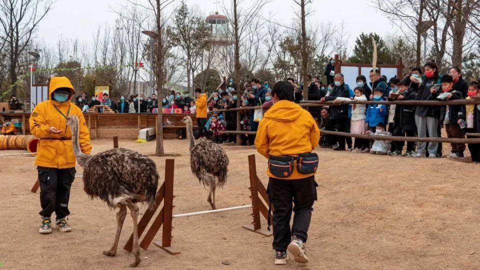 西昌萌宠乐园门票体验