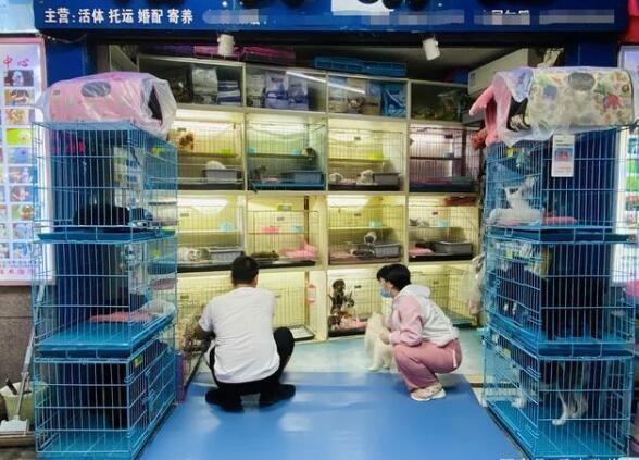 泰日什么位置能京东白条提现