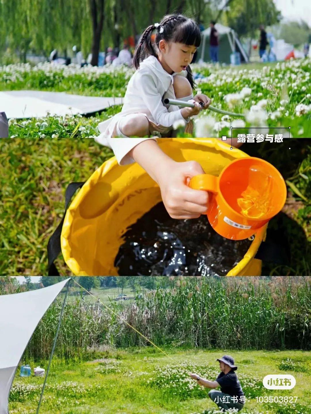 探索彭城萌宠乐园的奥秘