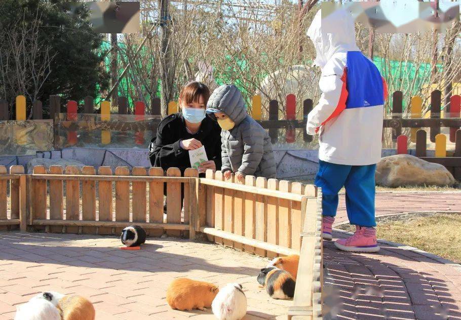泰日什么位置能京东白条提现