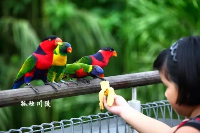 小店微信分付提现手续费全解析