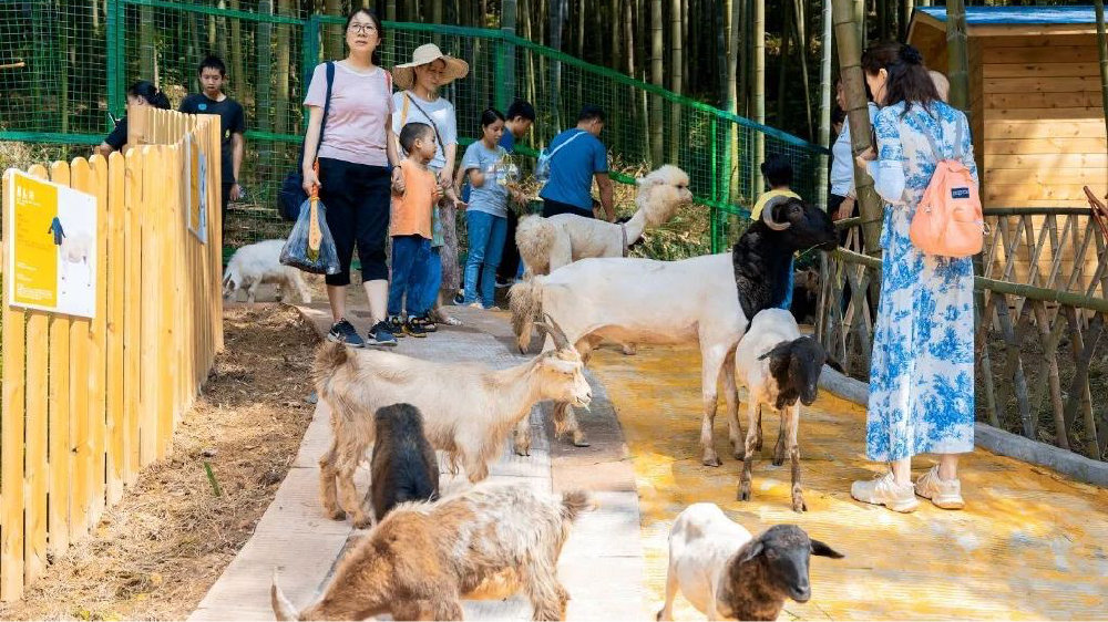 蒙阴县萌宠乐园地址及特色亮点
