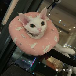 宾馆住宿记录 我的宾馆住宿记录，那些温馨与不便的小故事