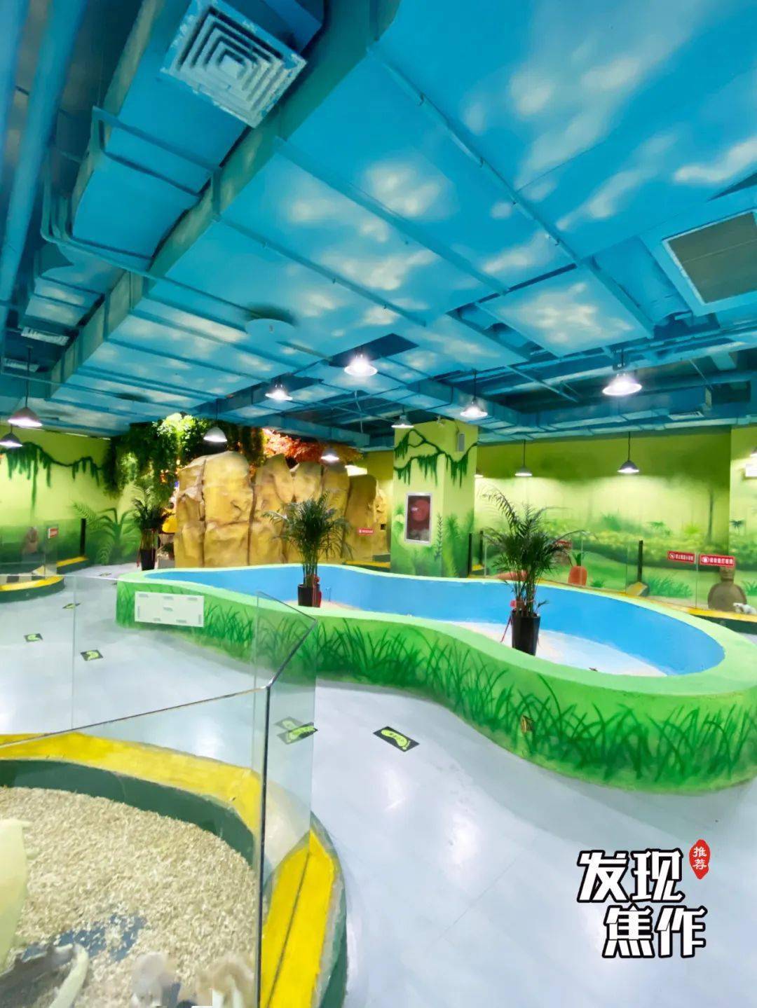 济南融创乐园国王欢乐萌宠