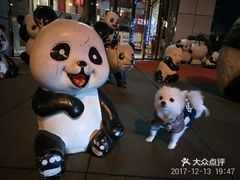 自己的花呗自己怎么提现 花呗提现攻略，轻松把虚拟货币变成真金白银！