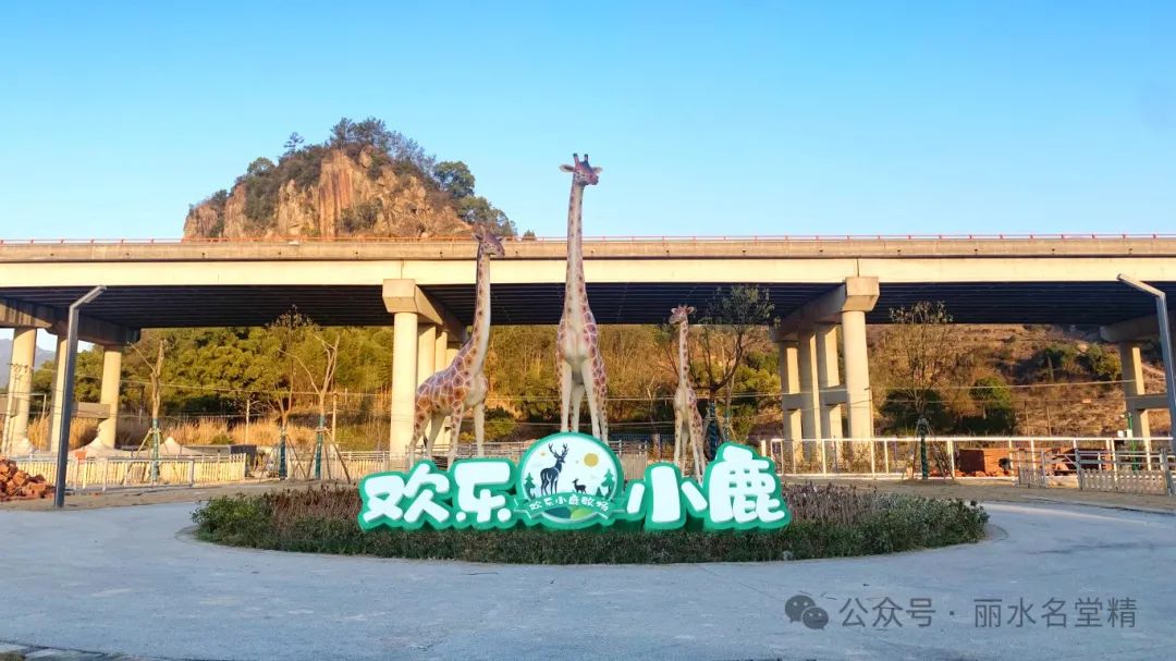 华商萌宠乐园探访