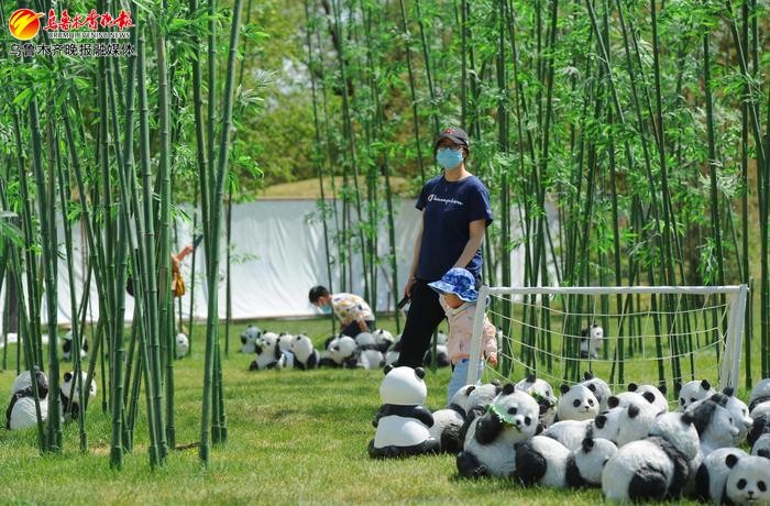 最新分期乐提现方法 揭秘最新分期乐提现方法，轻松变现不再难！