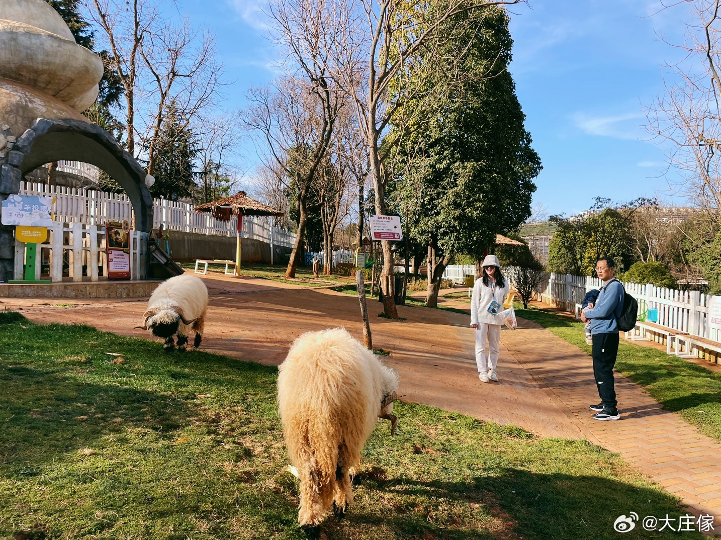 京东白条任性付套出来 京东白条任性付套出来，购物无忧，分期轻松！