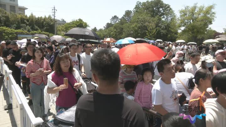 京东白条什么提现 京东白条提现攻略，轻松变现，告别等待！