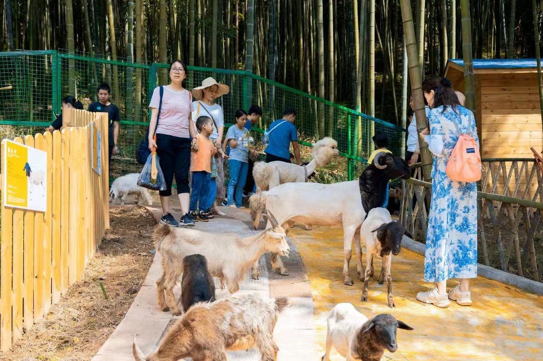揭秘无密码下微信聊天记录的查看方式（慎用！涉及隐私风险）