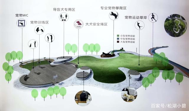 微信分付提现官网 揭秘微信分付提现官网，轻松操作，安全便捷！